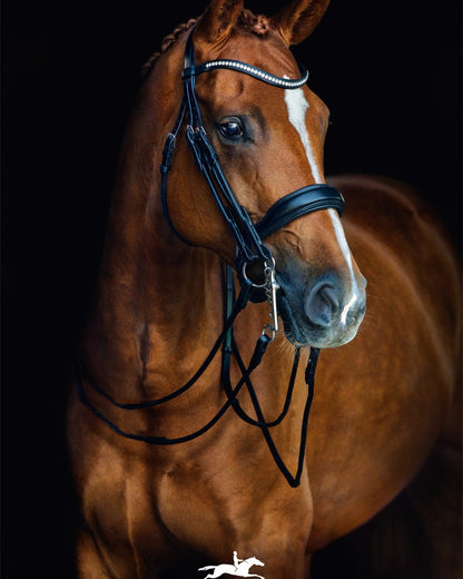 Schockemohle Double Bridle Venice black/silver
