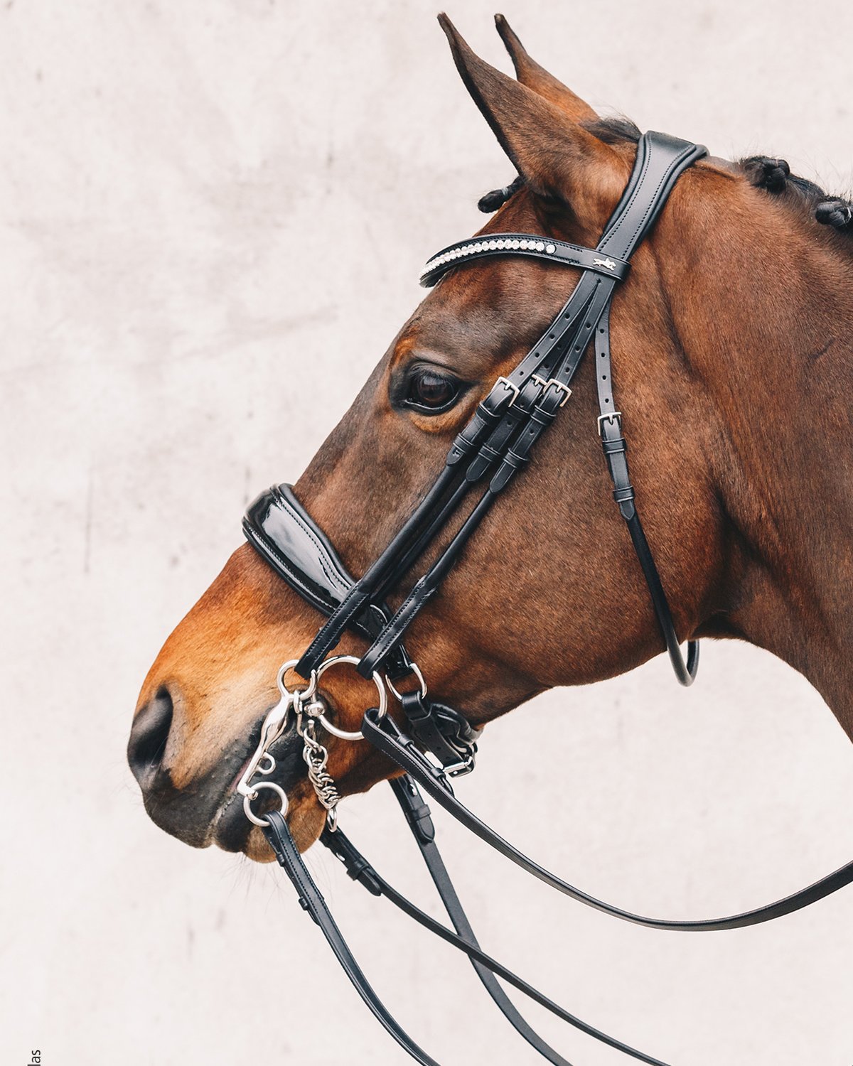 Schockemohle Double Bridle Venice black/patent/silver