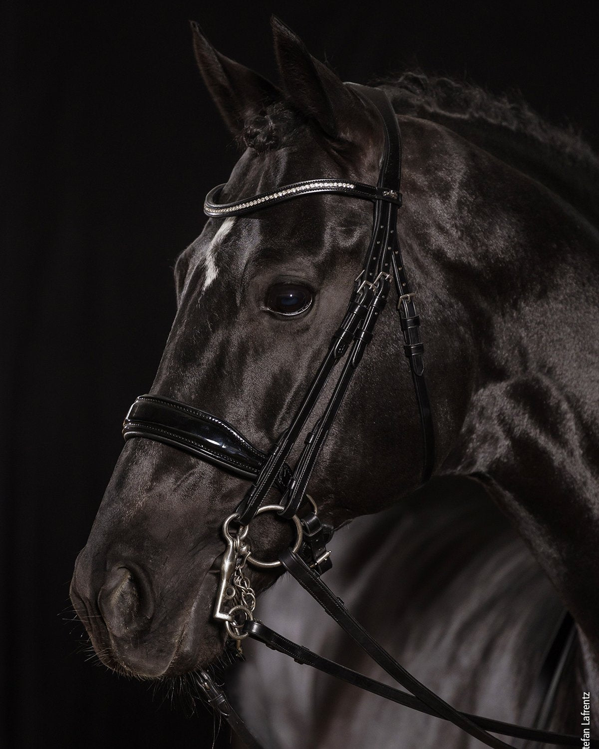 Schockemohle Double Bridle Milan black/silver
