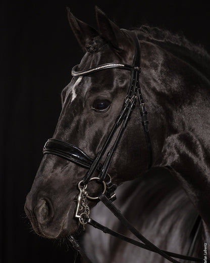 SCHOCKEMOHLE Milan Double Bridle Black Silver: Anatomical Horse Bridle from Equiflair with Crystal Browband