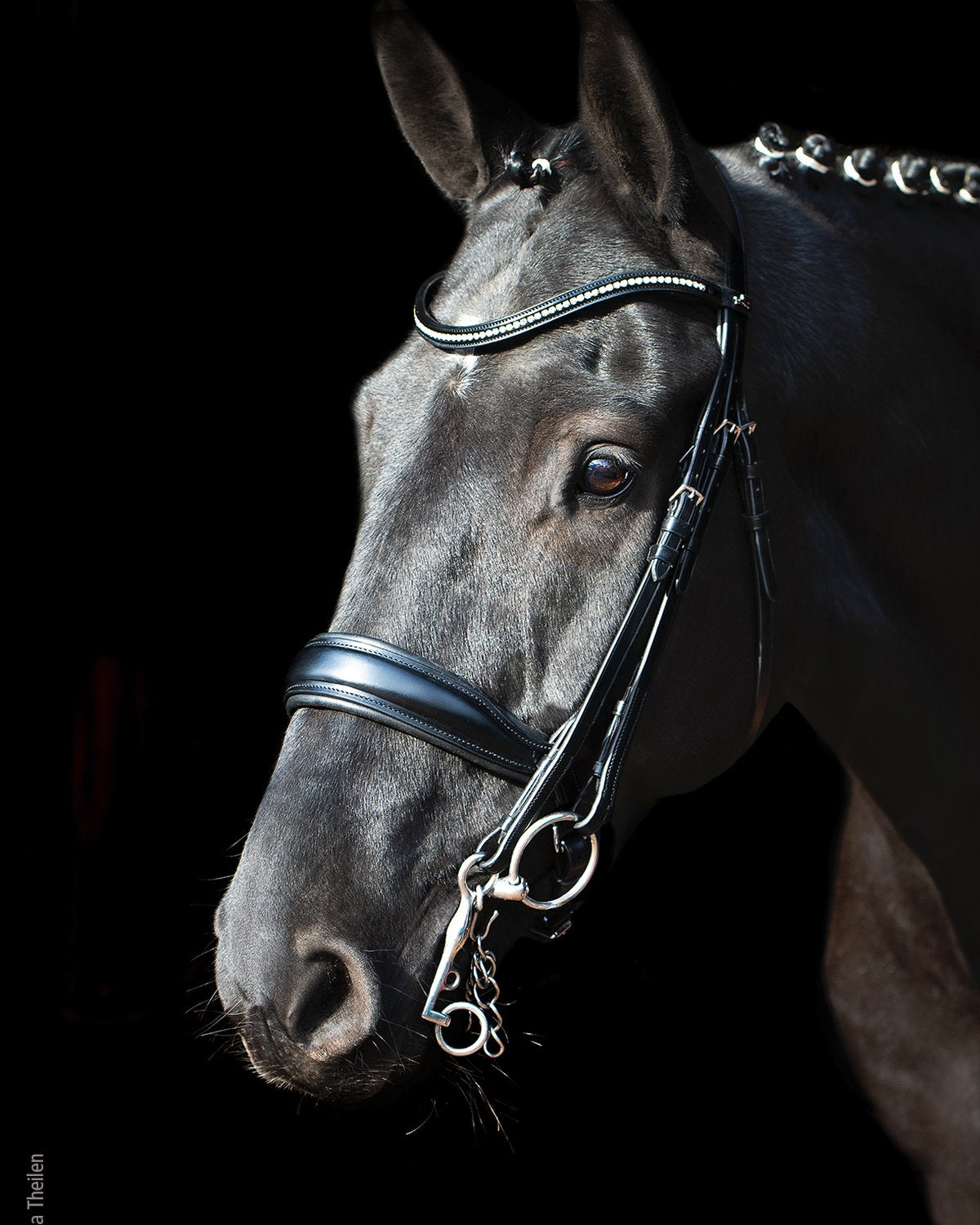 Schockemohle Double Bridle Milan black/silver