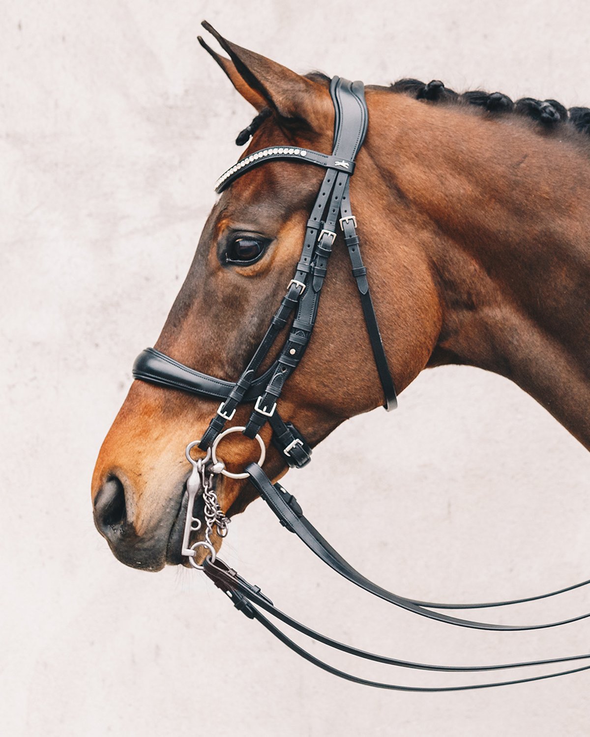 Schockemohle Double Bridle Equitus Gamma black/silver