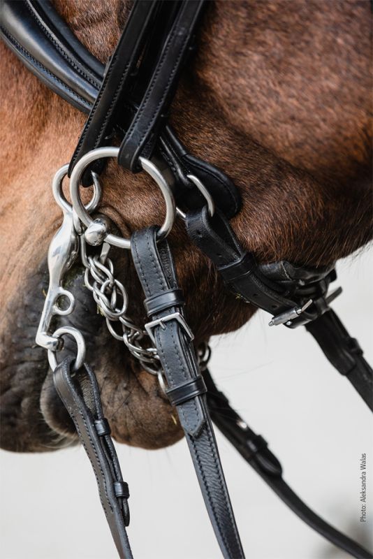 Schockemohle Double Bridle Milton Black/Silver | Equiflair