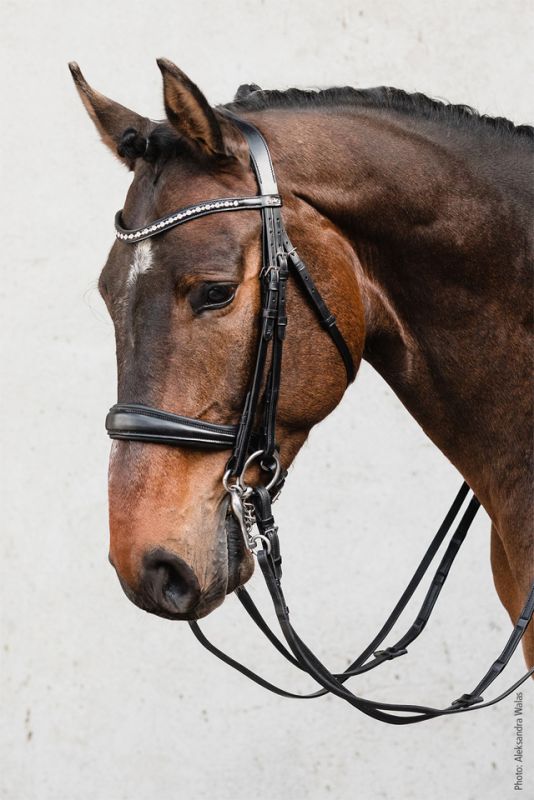 Schockemohle Double Bridle Milton Black/Silver | Equiflair