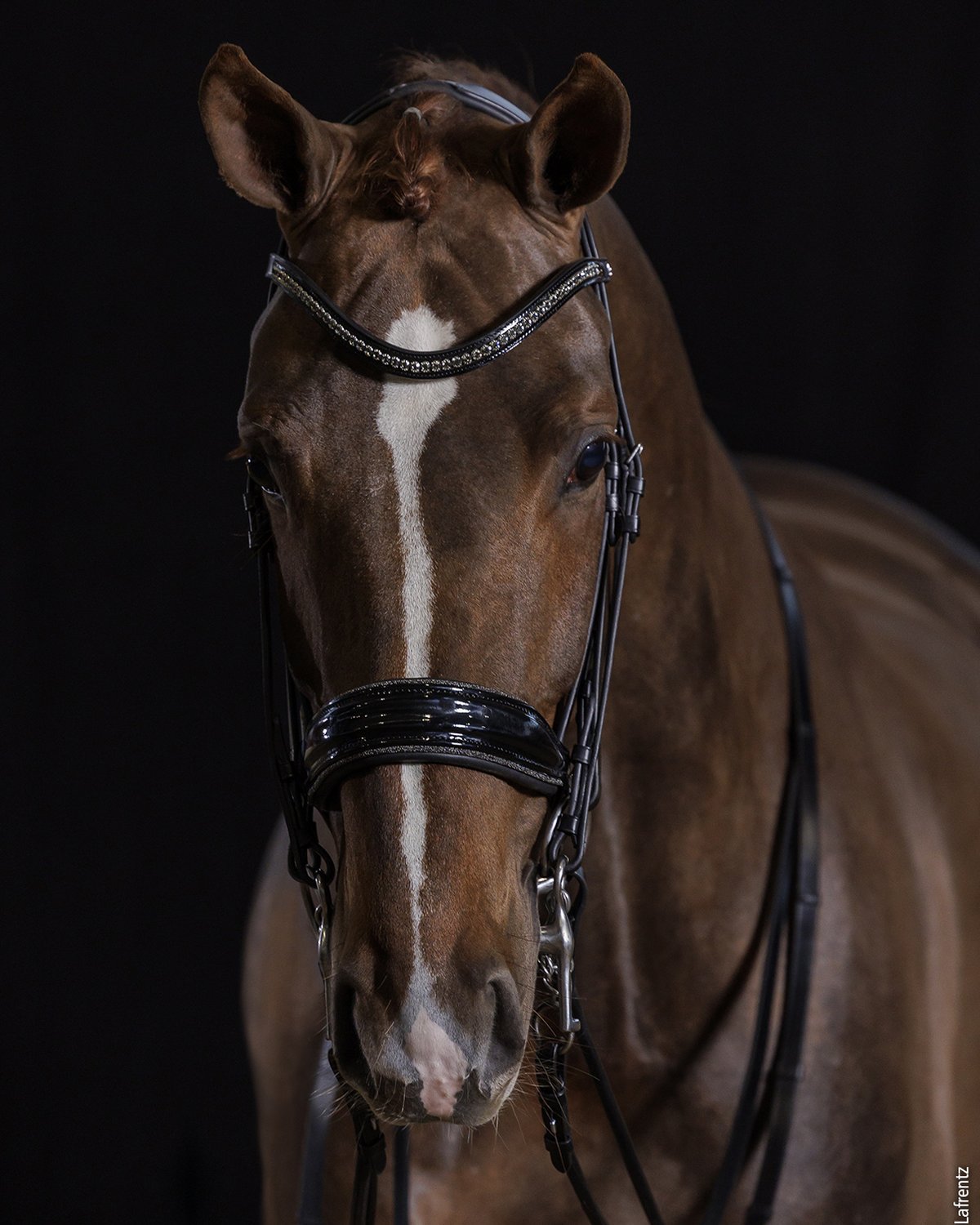 Schockemohle Double Bridle Milan Glam black/patent/silver