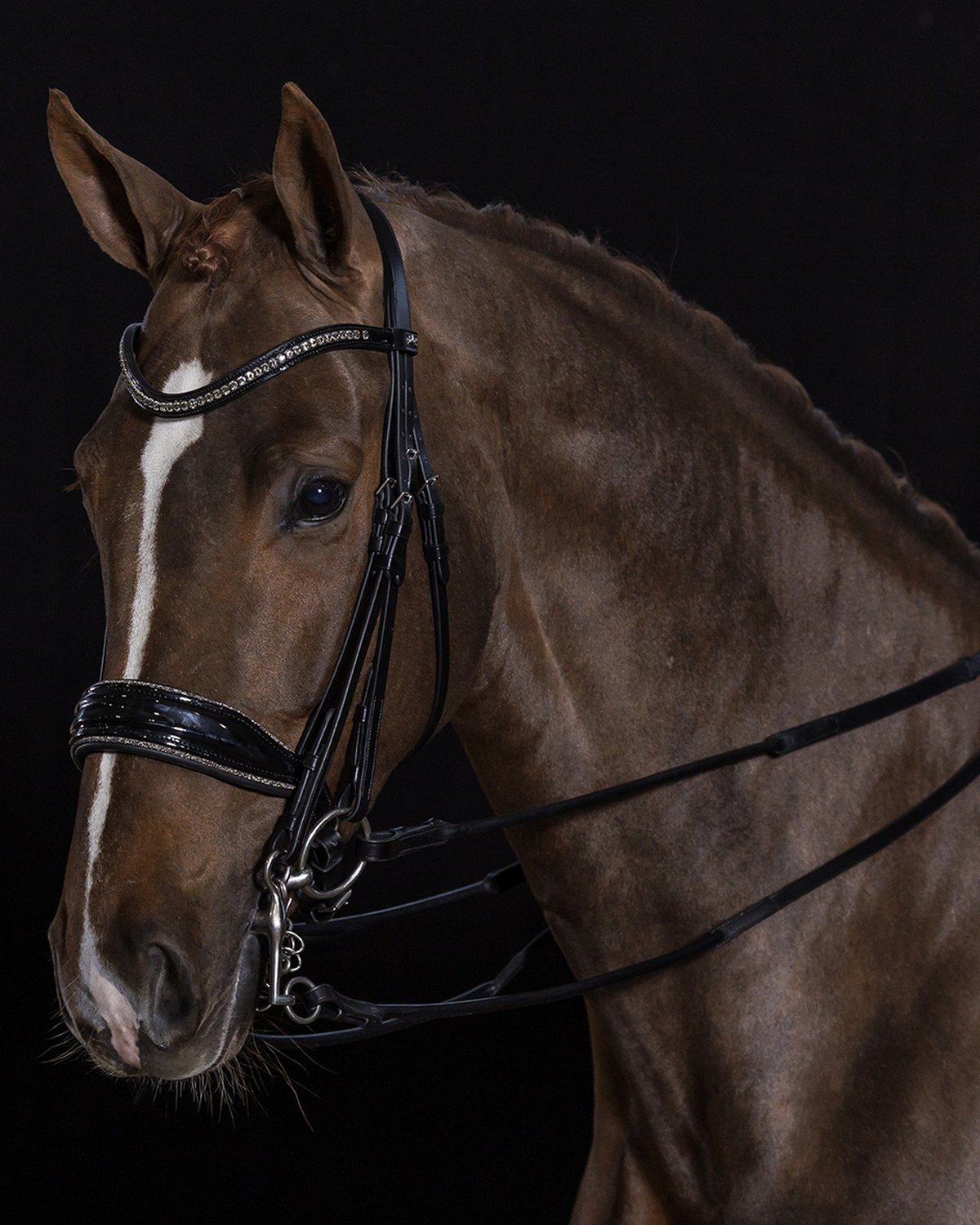 Schockemohle Double Bridle Milan Glam black/patent/silver