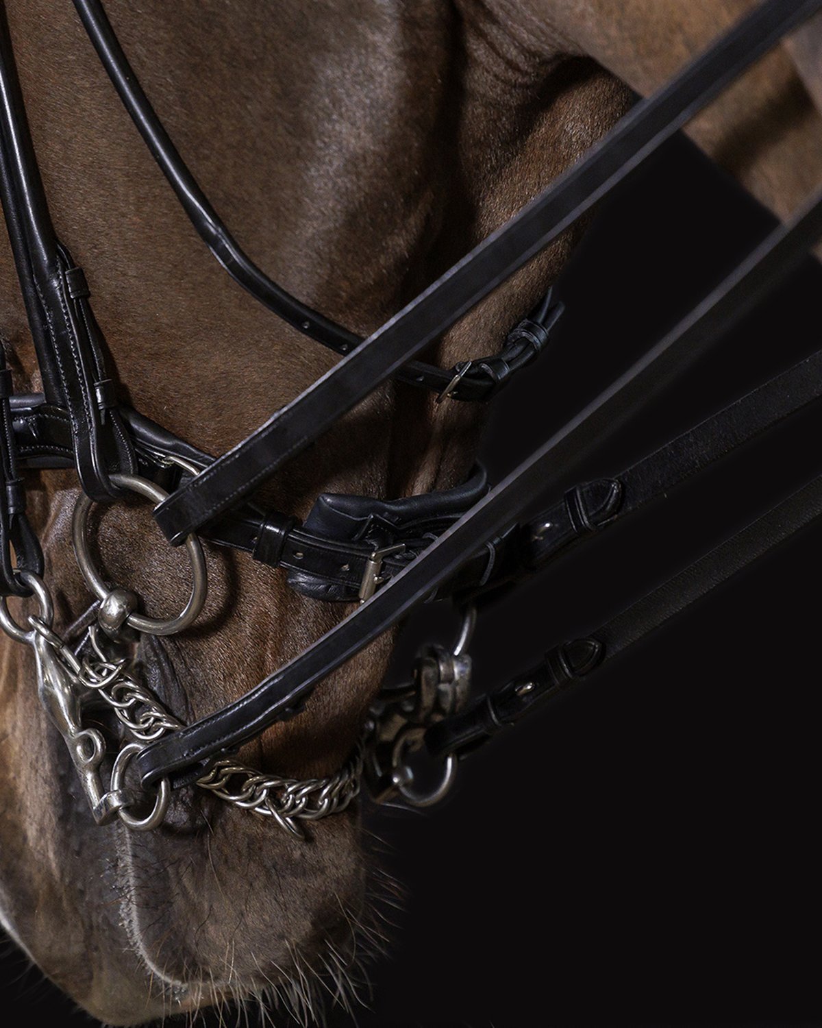 Schockemöhle Kensington Double Bridle - Black Leather Horse Bridle with Silver Fittings & Crystal Browband