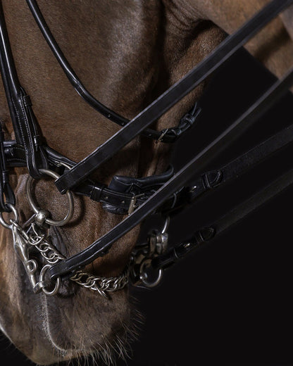 Schockemöhle Kensington Double Bridle - Black Leather Horse Bridle with Silver Fittings & Crystal Browband