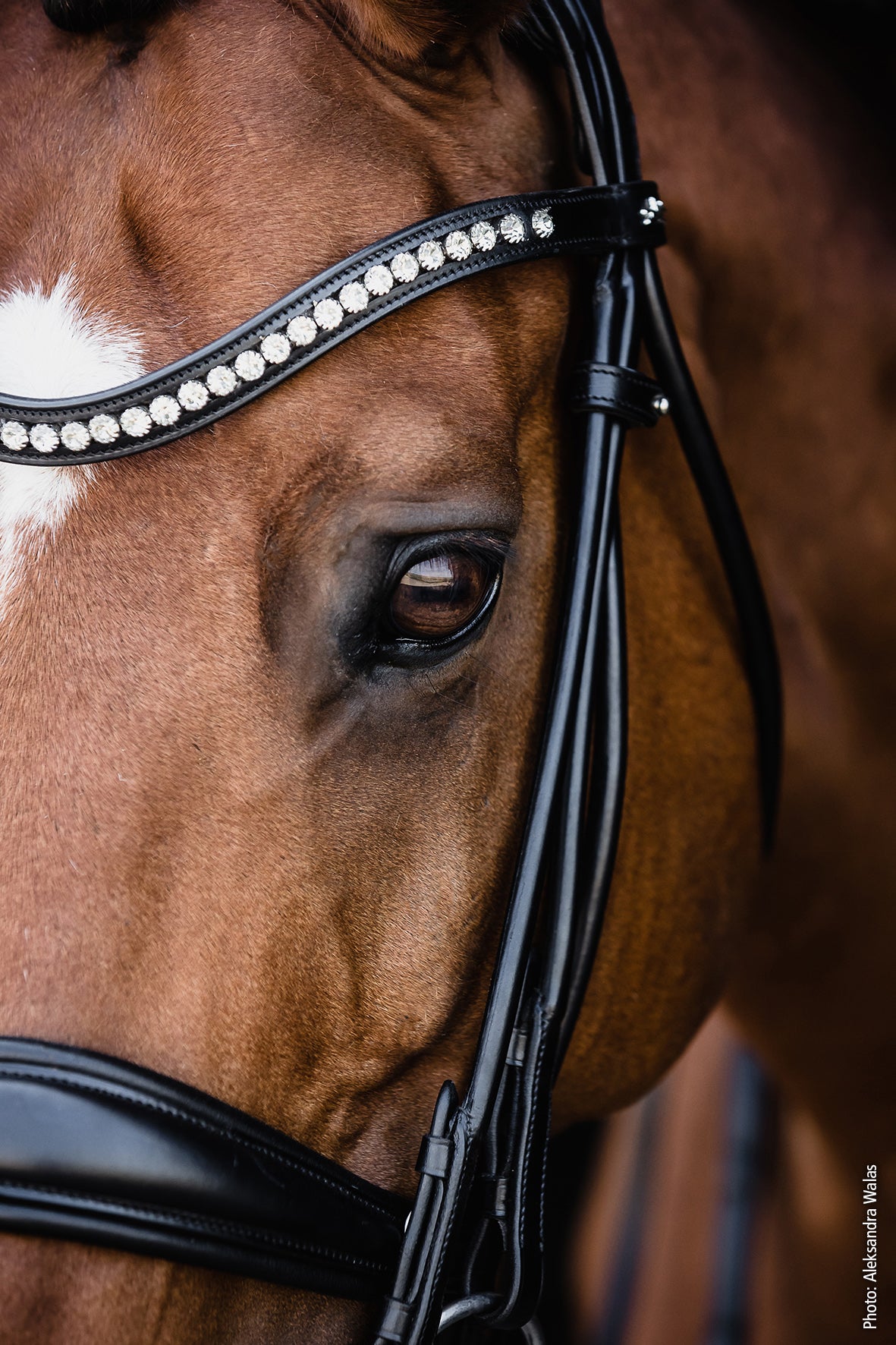 Schockemohle Kensington double bridle with crystals on horse eye for dressage competition