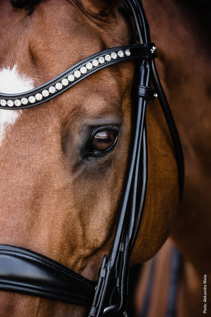 Schockemohle Kensington double bridle with crystals on horse eye for dressage competition