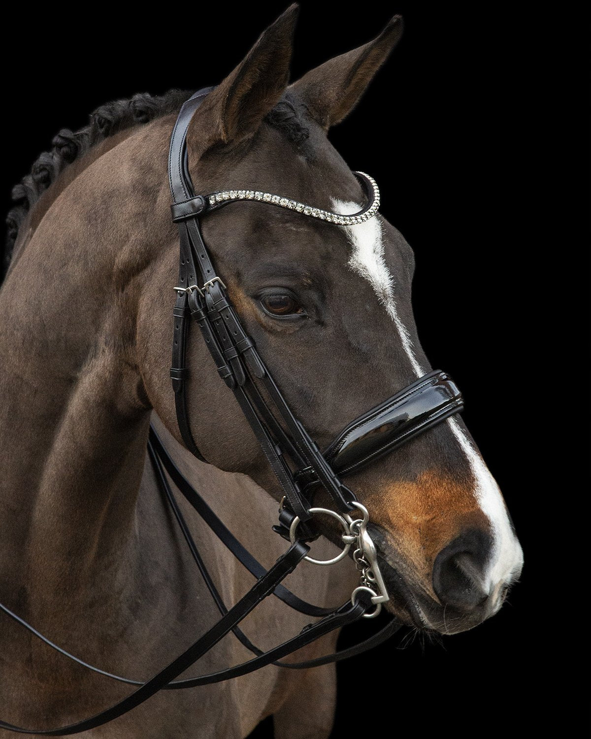 Schockemohle Double Bridle Milazzo black/silver