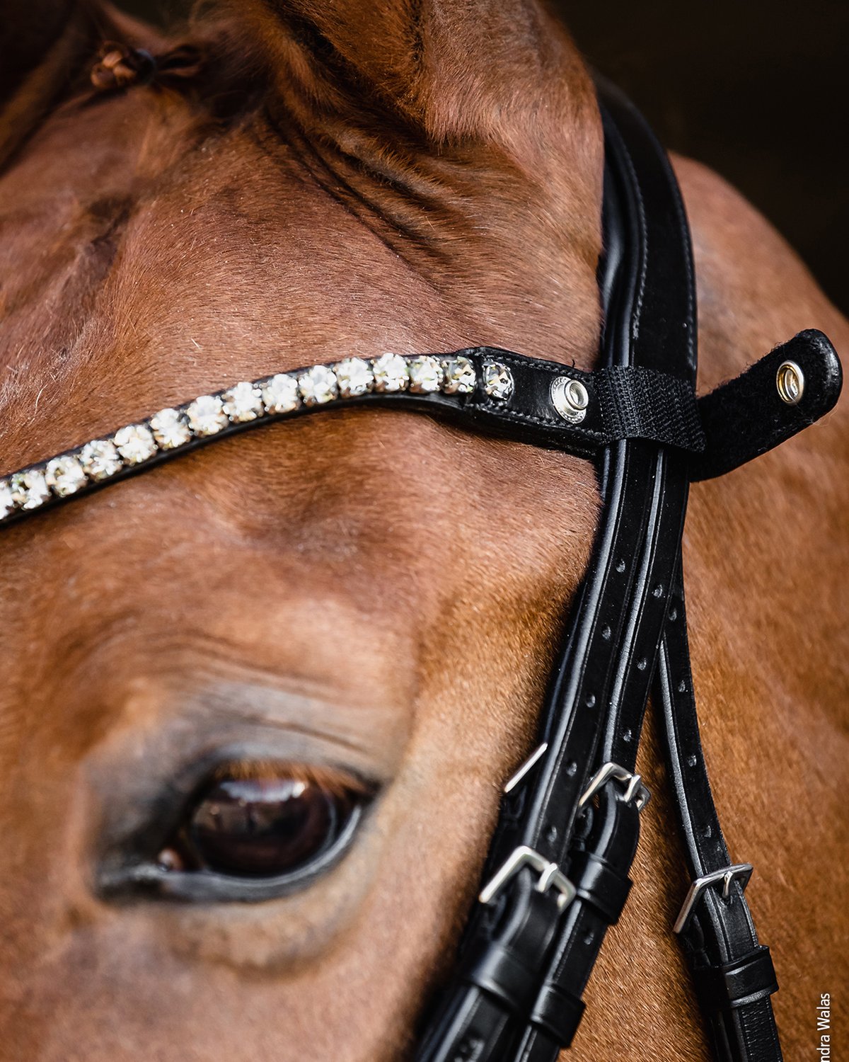 Schockemohle Double Bridle Milazzo black/patent/grey