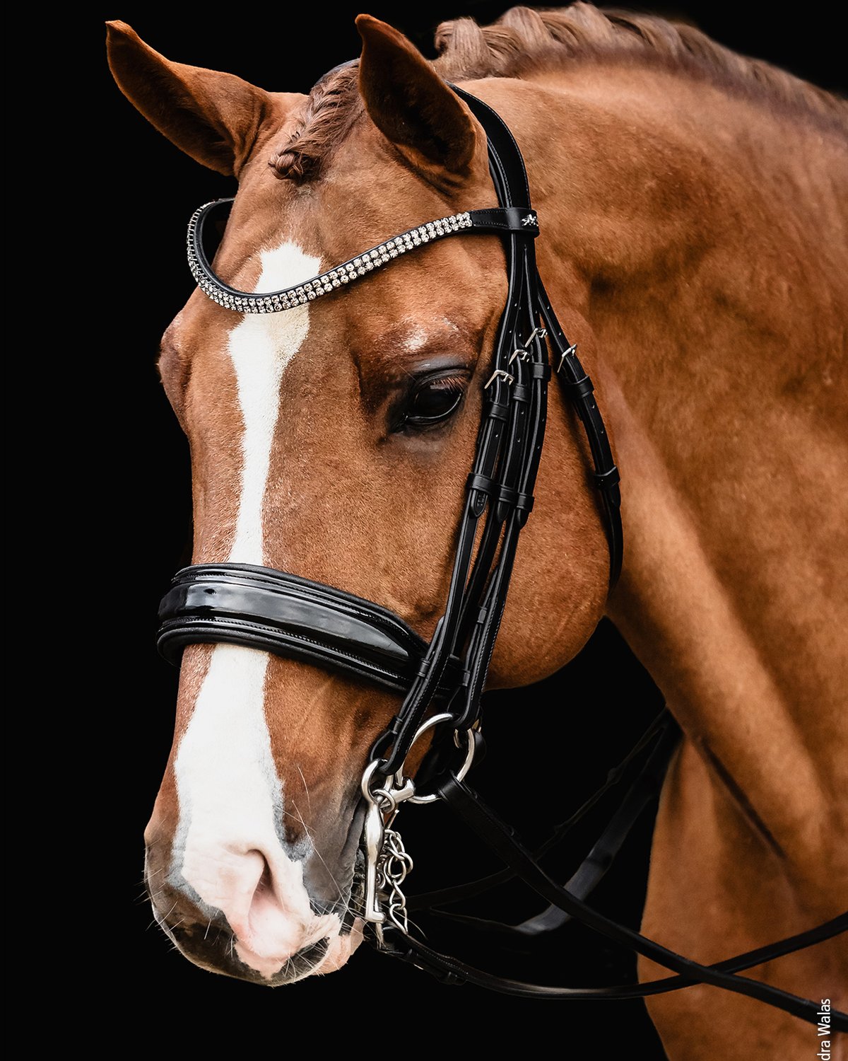 Schockemohle Double Bridle Monticelli black/patent/silver