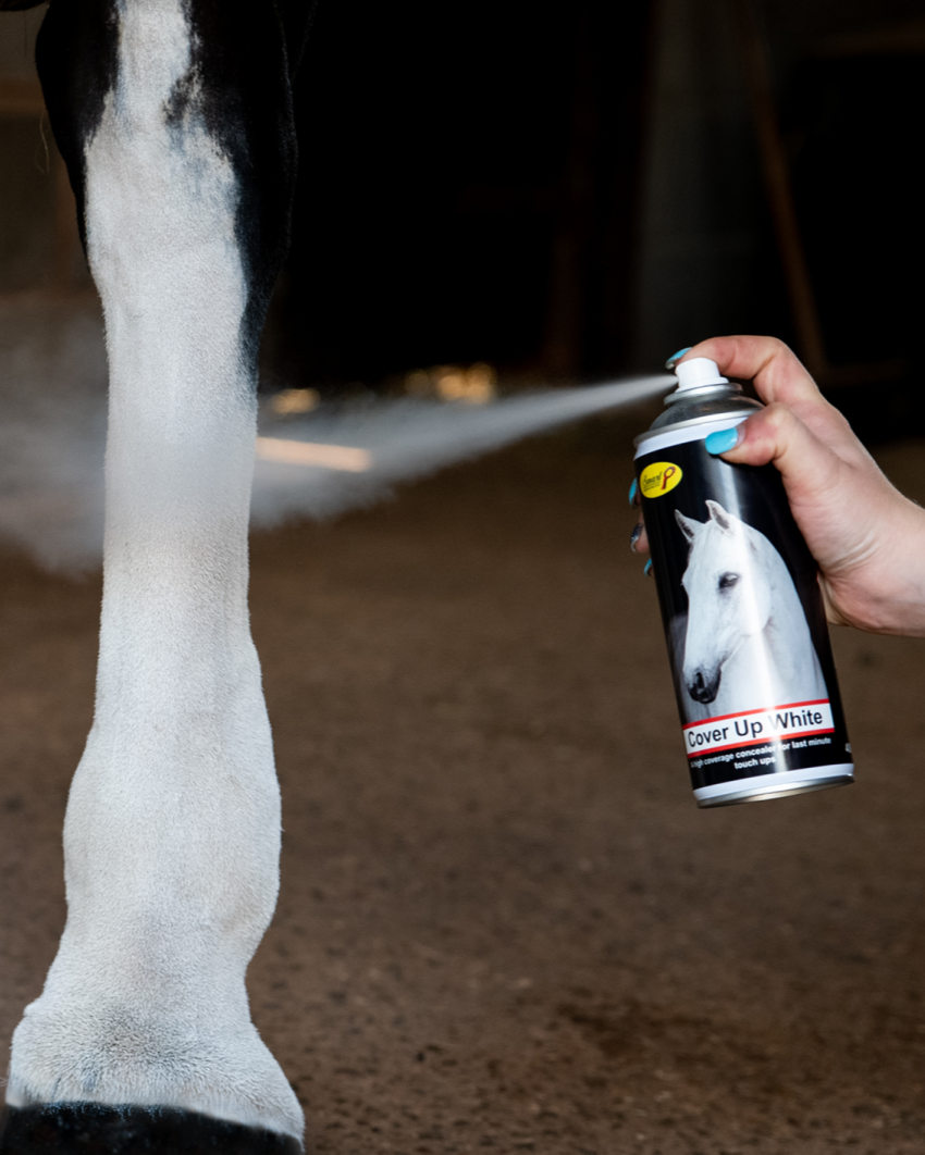 Horse Grooming: Smart Grooming Cover Up Spray White being applied to a horse's leg to conceal blemishes. Equiflair.