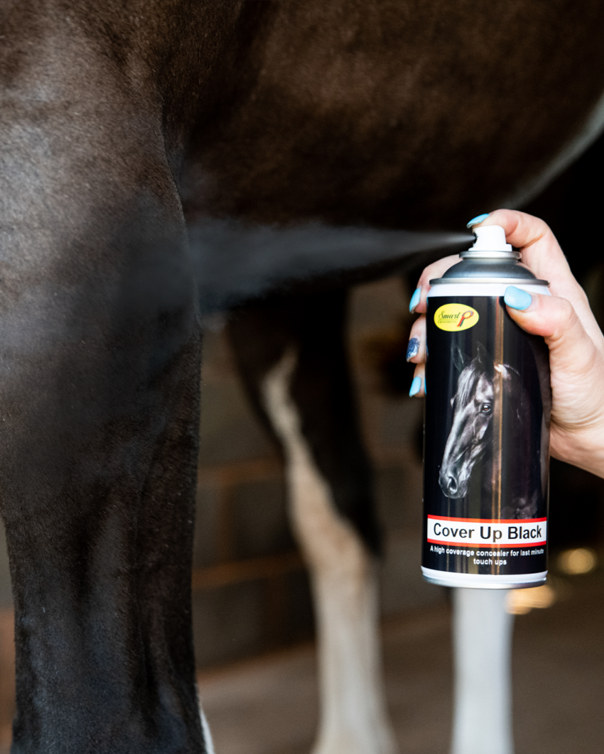 Smart Grooming Cover Up Spray Black