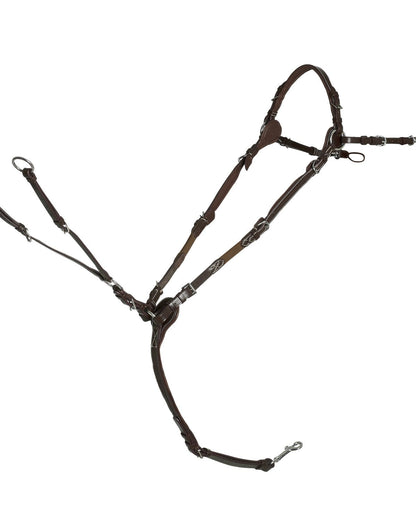 Schockemohle Breastplate Sevilla Select espresso/cream/silver