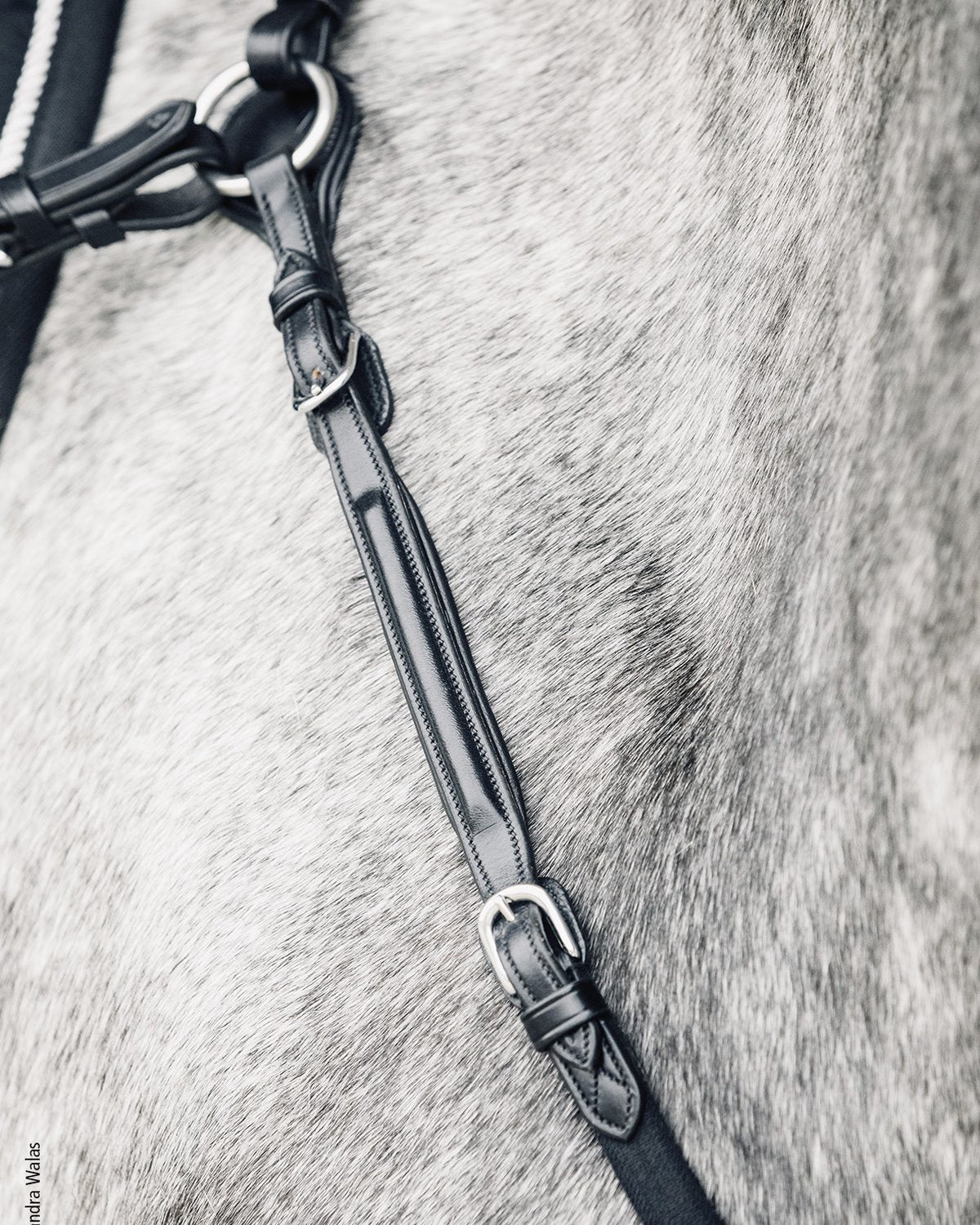 Schockemohle Breastplate Sevilla Select black/silver