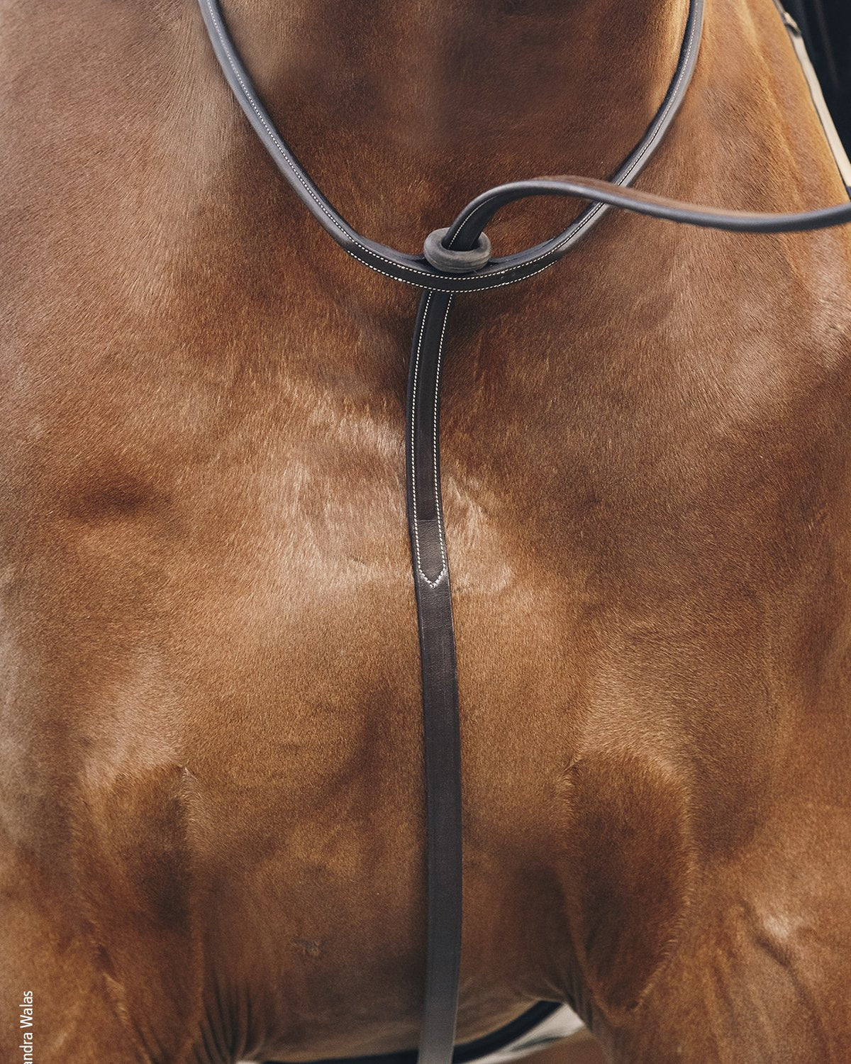 Schockemohle Breastplate Santa Clara Select Espresso/cream/silver