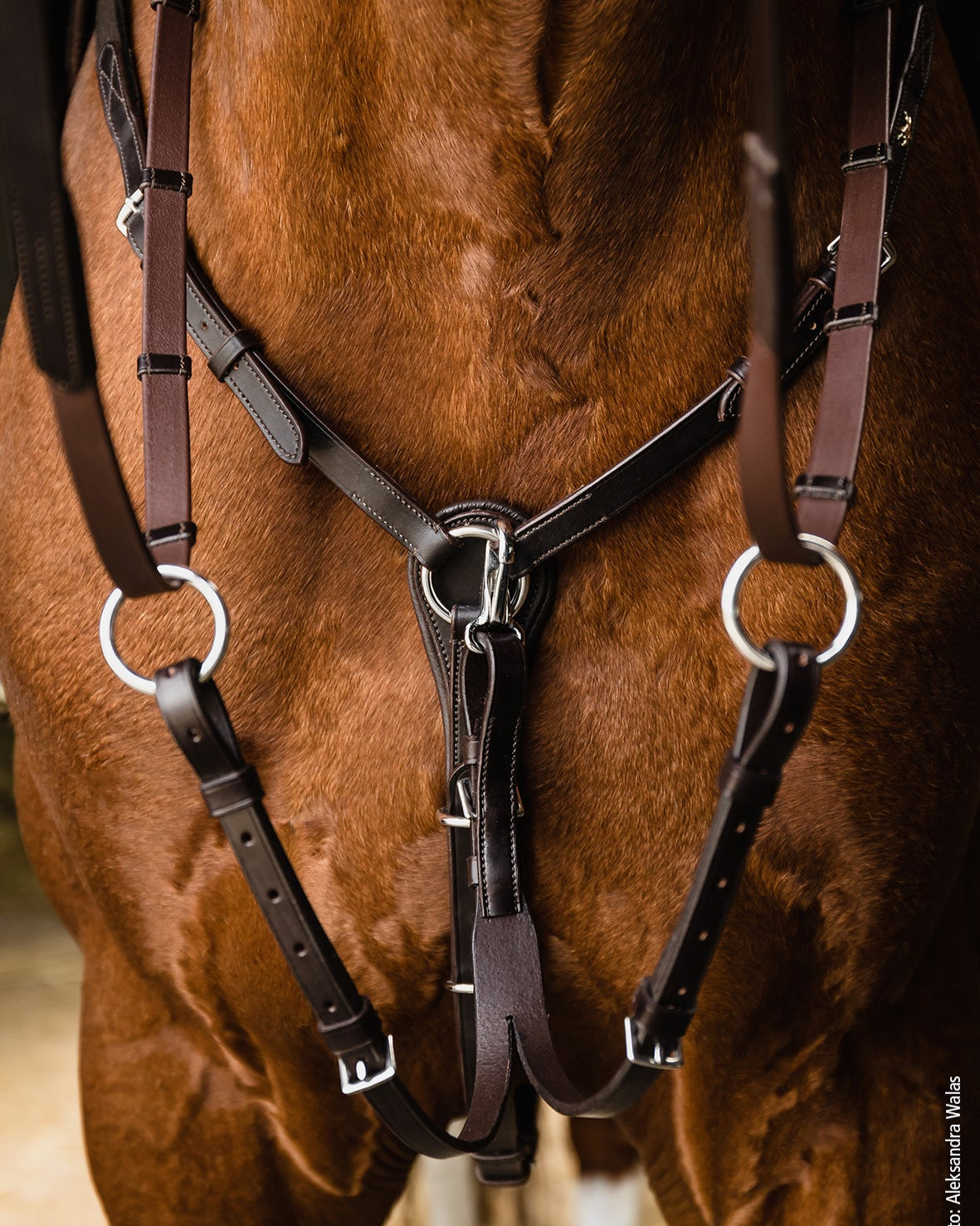 Schockemohle Breastplate Como dark brown/silver