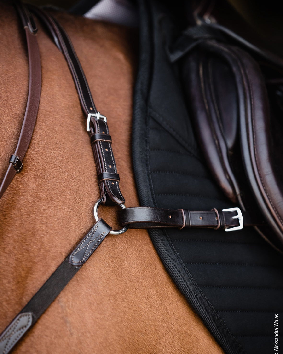 Schockemohle Breastplate Como dark brown/silver