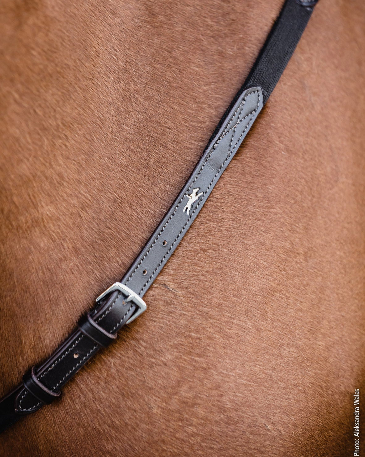 Schockemohle Breastplate Como dark brown/silver
