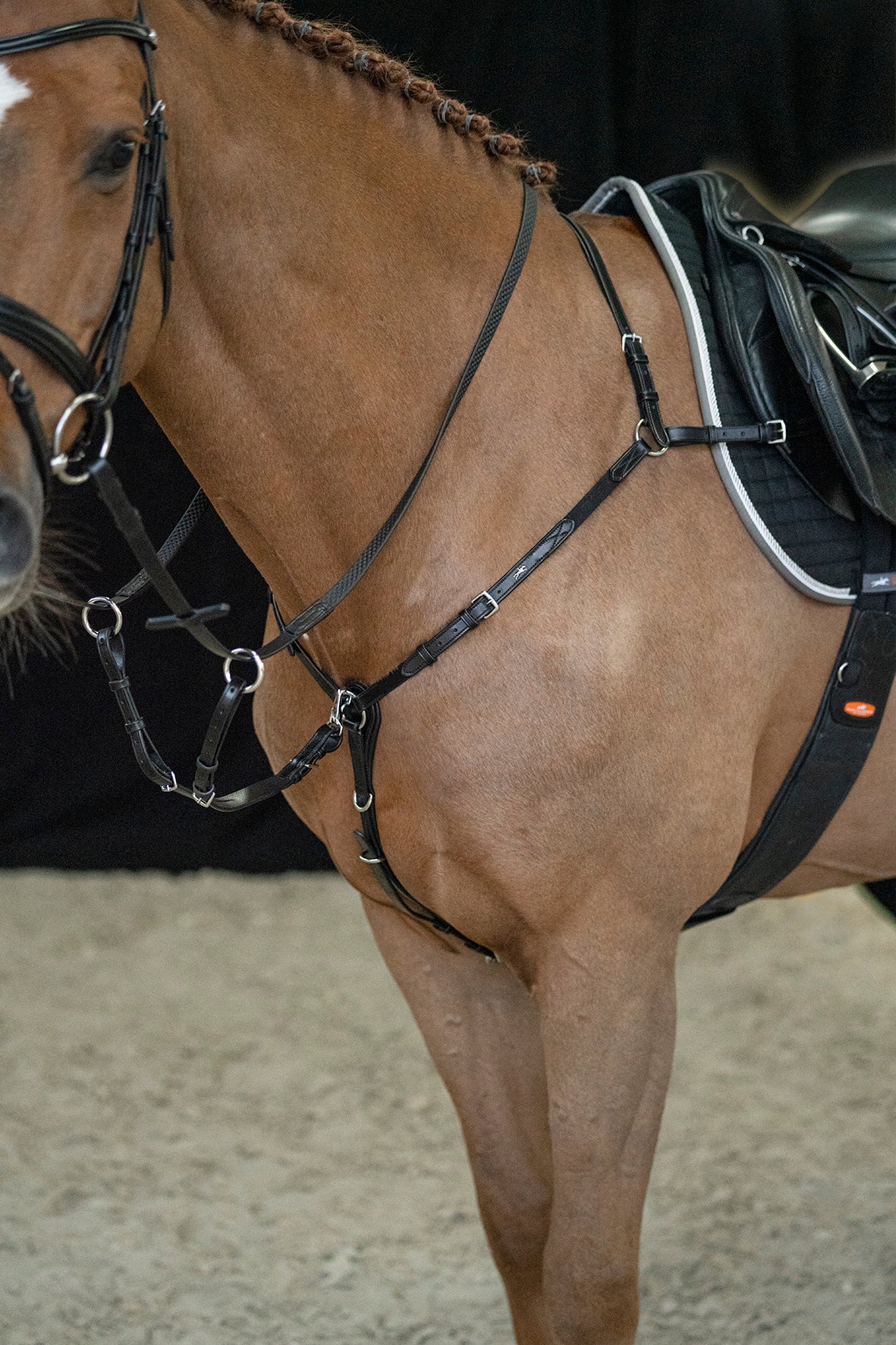 Schockemohle Breastplate Como black/silver