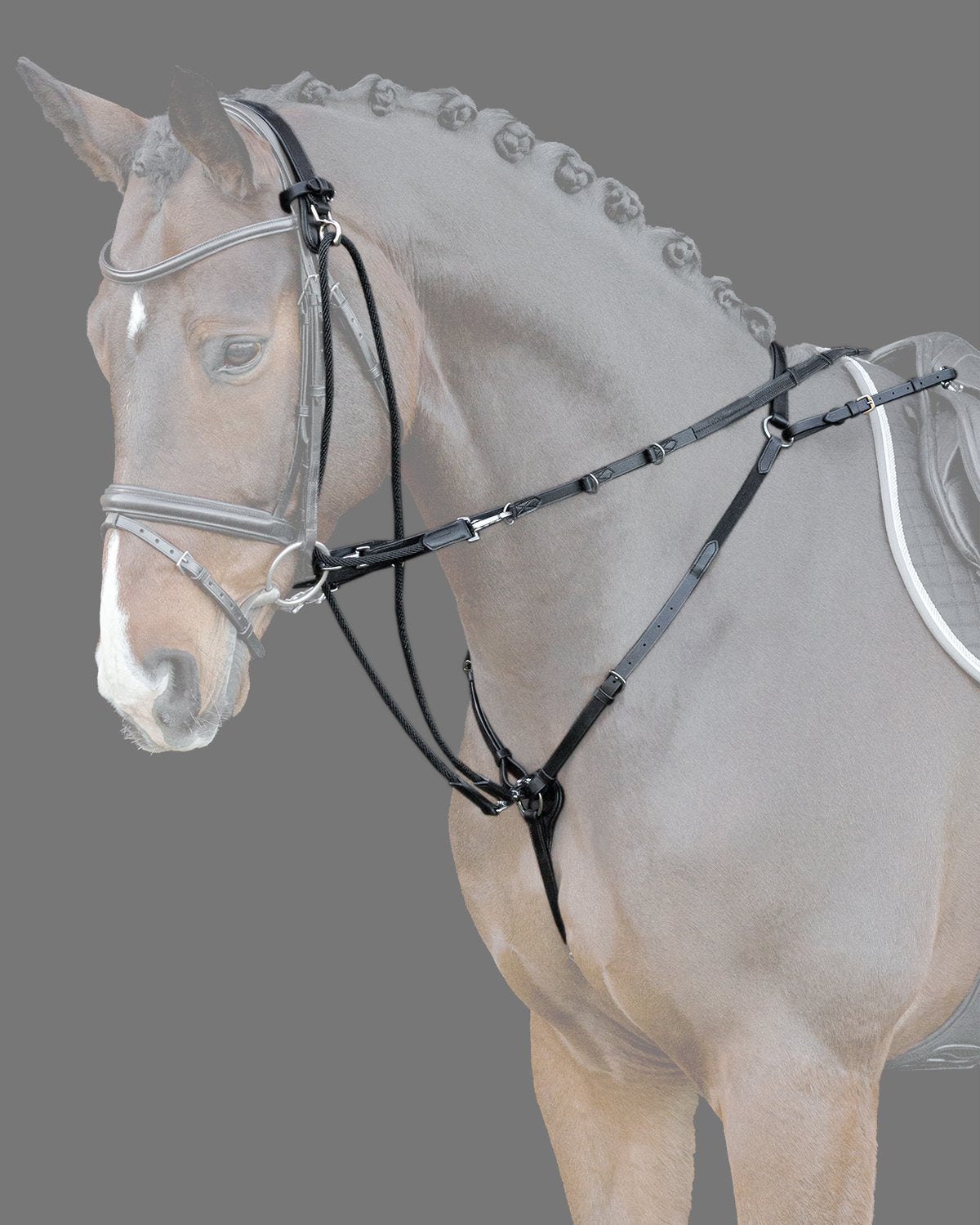 SCHOCKEMOHLE Cleveland Pro Training Aid: Black leather auxiliary reins on horse, silver fittings. Equestrian training equipment.