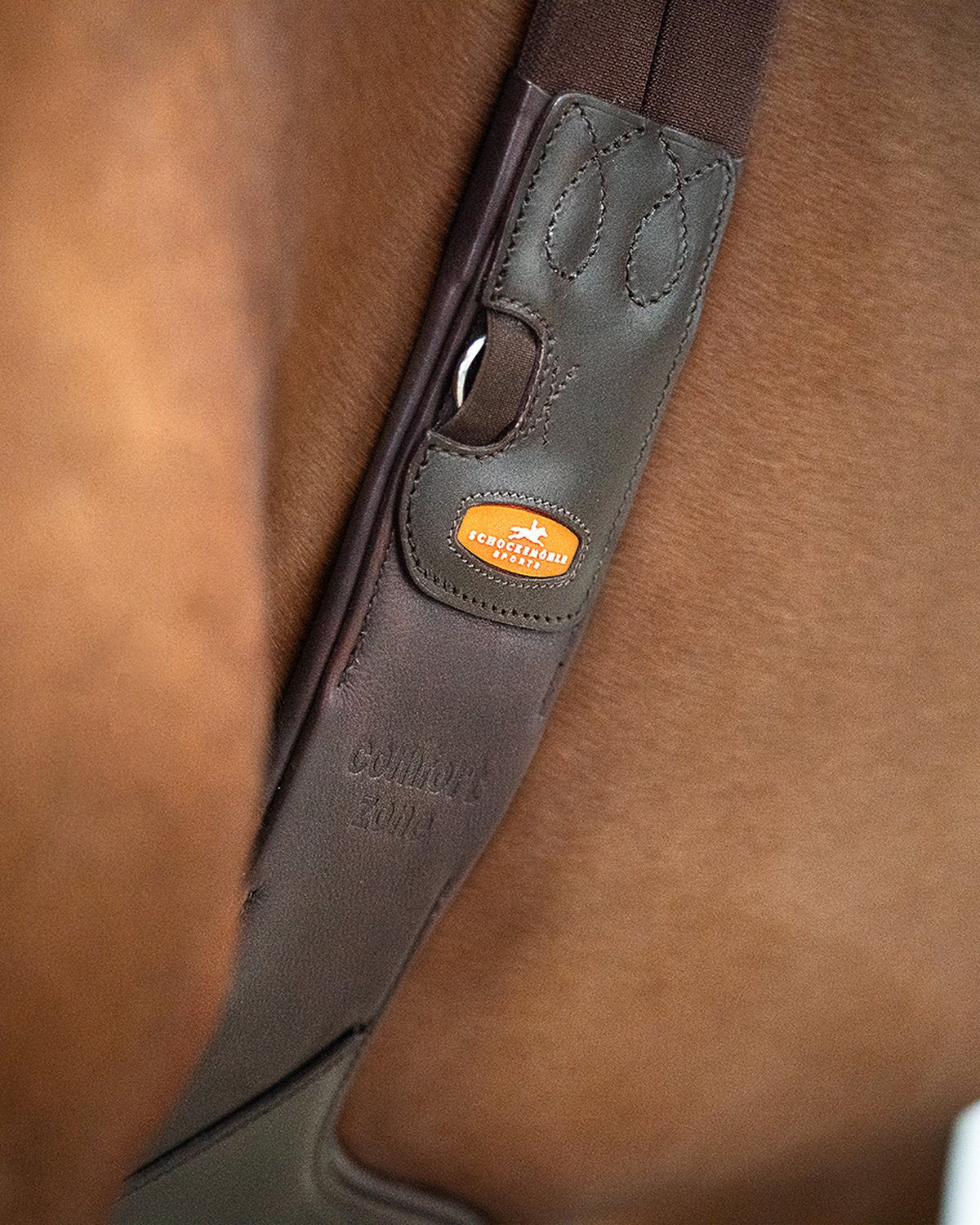Schockemohle Protection Girth Oklahoma espresso/silver