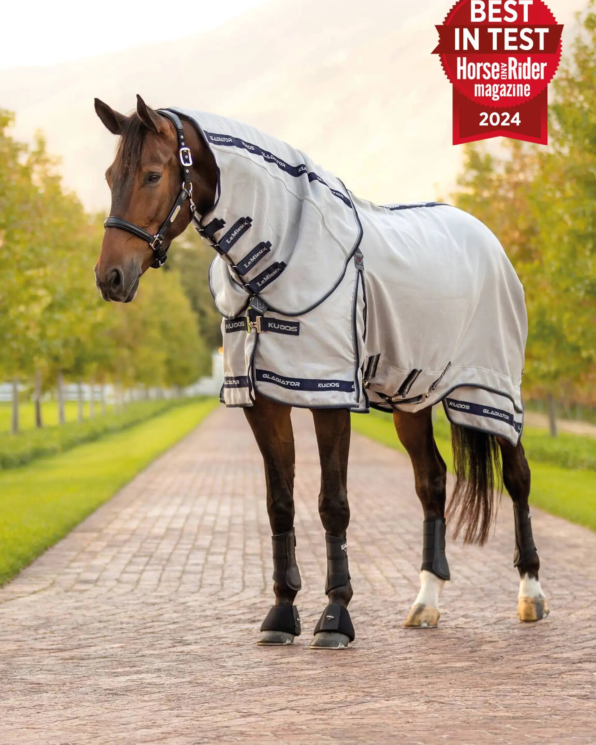LeMieux Kudos Gladiator Fly Rug