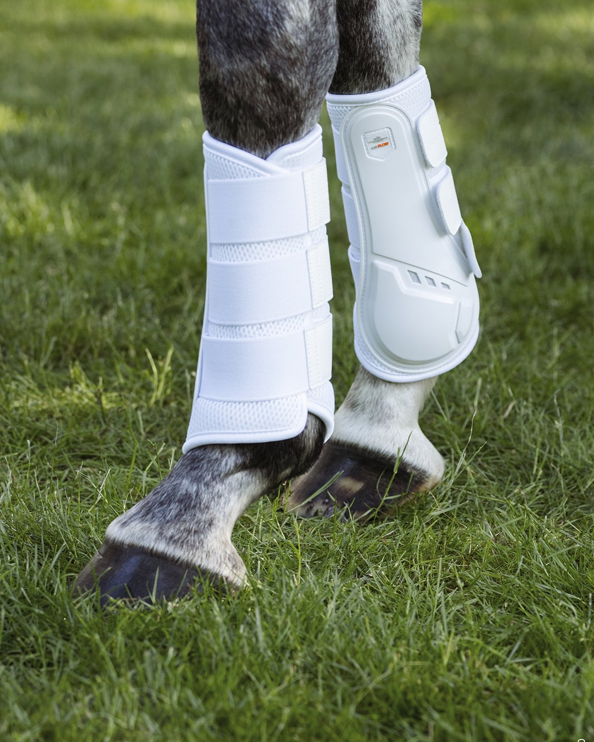 SCHOCKEMOHLE AIR FLOW White Training Boots - Horse Leg Protection | Equiflair Equestrian Equipment