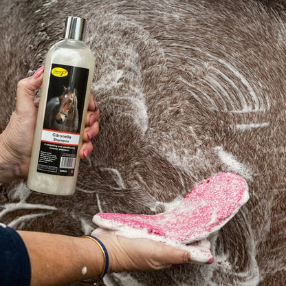 Smart Grooming Citronella Horse Shampoo. Refreshing Summer Shampoo for Horses. Cleaning and Grooming.