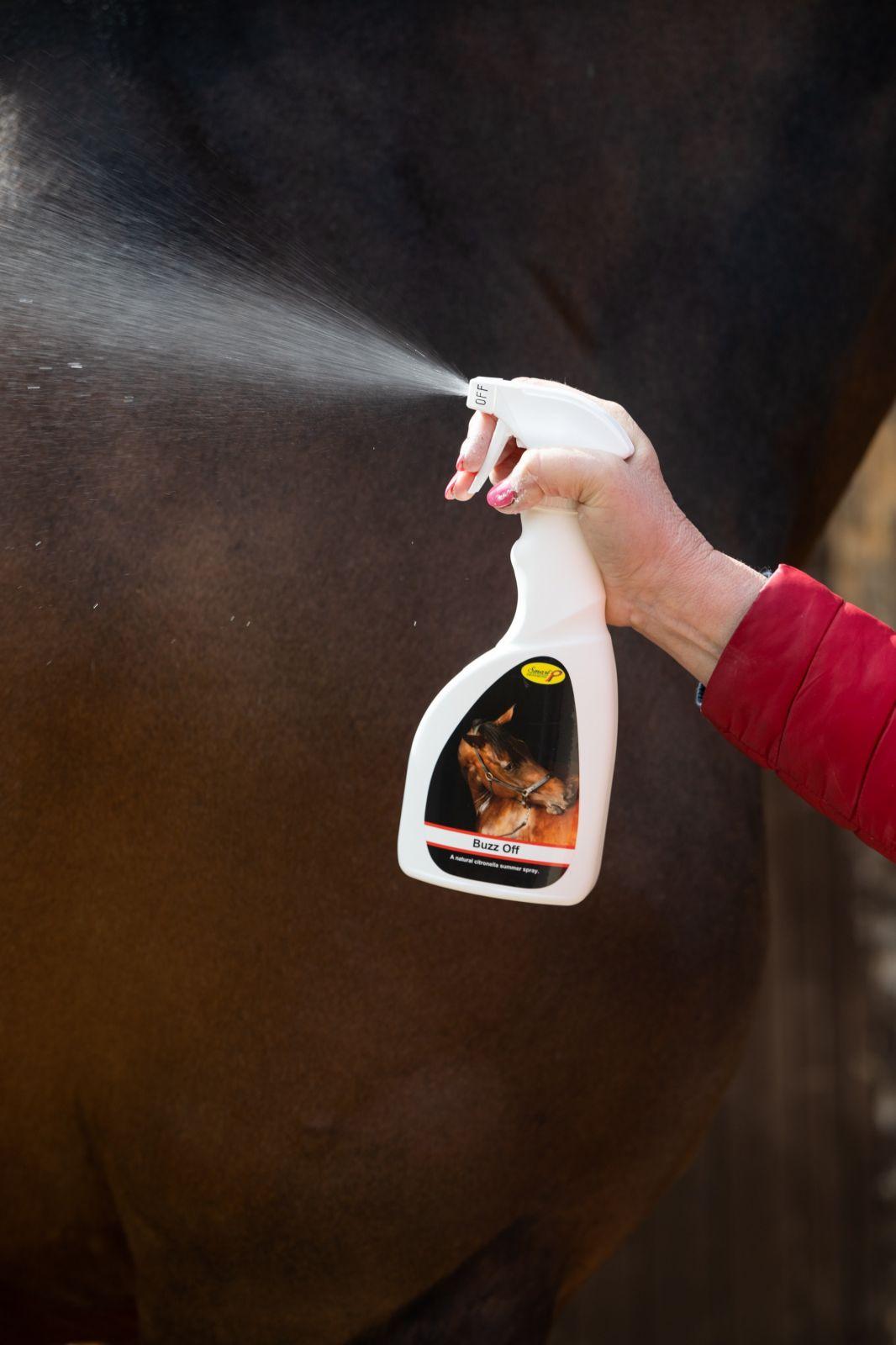 Spraying Smart Grooming Buzz Off Citronella Horse Fly Spray on Horse to Repel Insects and Flies