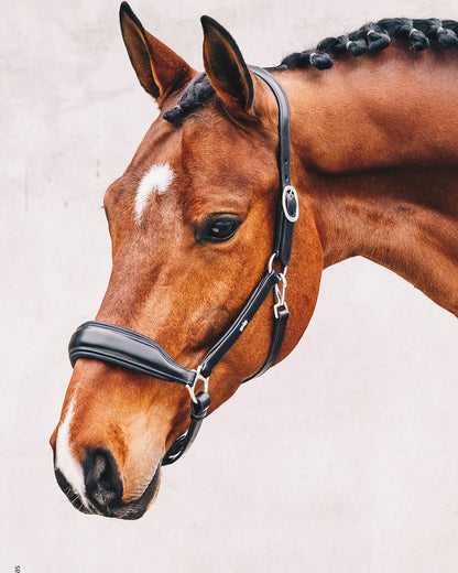 Schockemohle Head Collar Fremont Pro espresso/silver