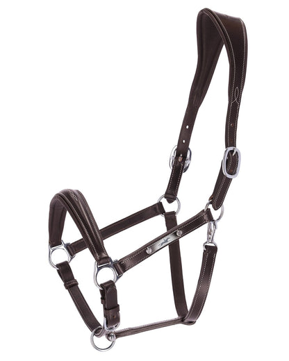 Schockemohle Head Collar Frisco F dark brown/cream/silver - Headcollar Horse location-109746323830-outofstock VB