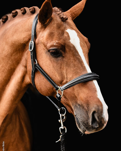 Schockemohle Head Collar Frisco F black/cream/silver