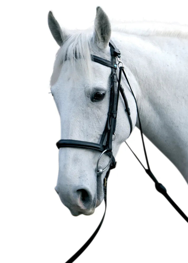 Hy Equestrian Chambon Black