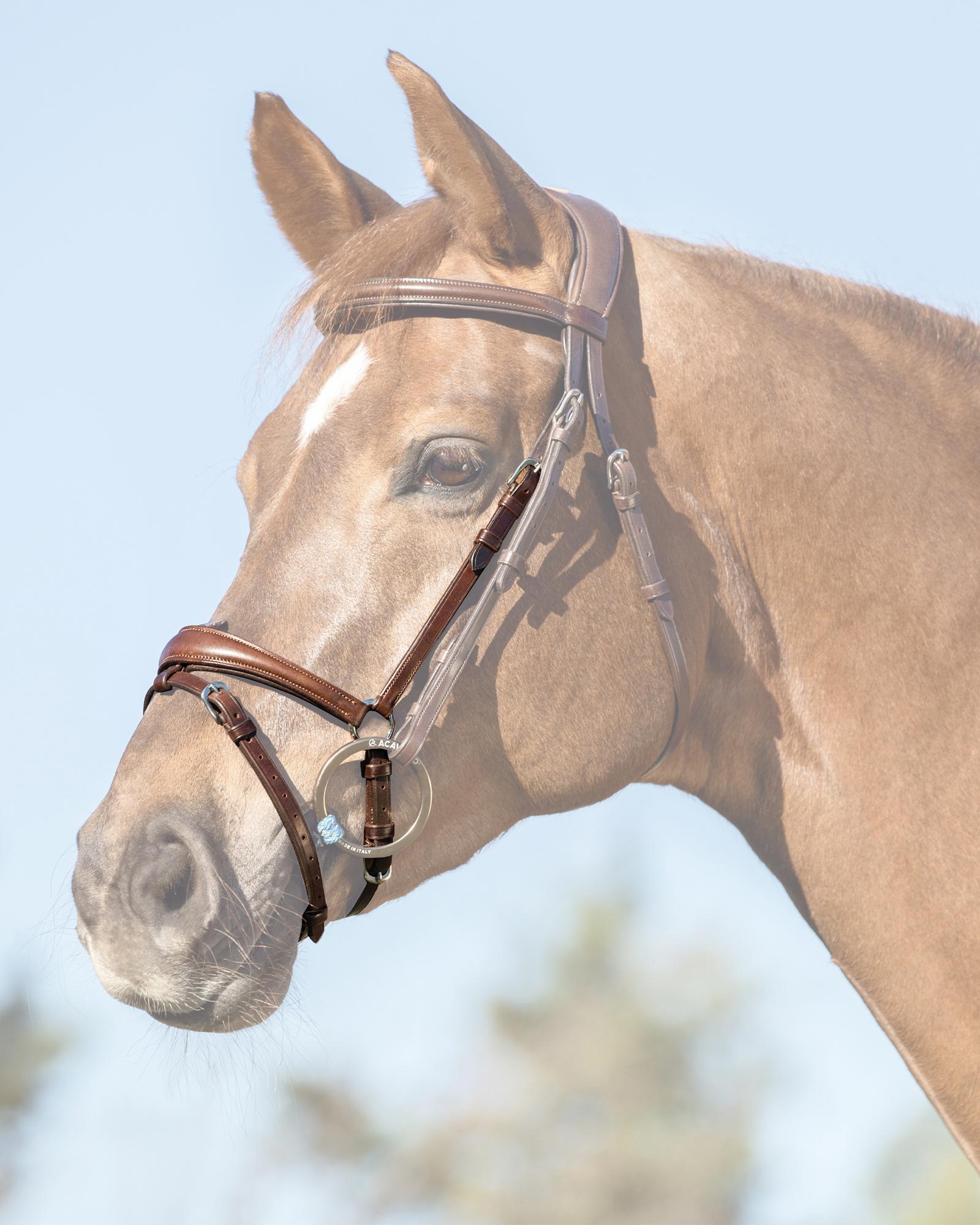 Acavallo Flash Noseband Quick Coupling Dark Brown