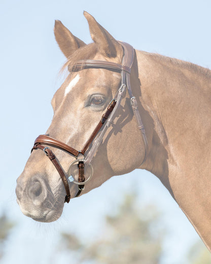 Acavallo Flash Noseband Quick Coupling Dark Brown