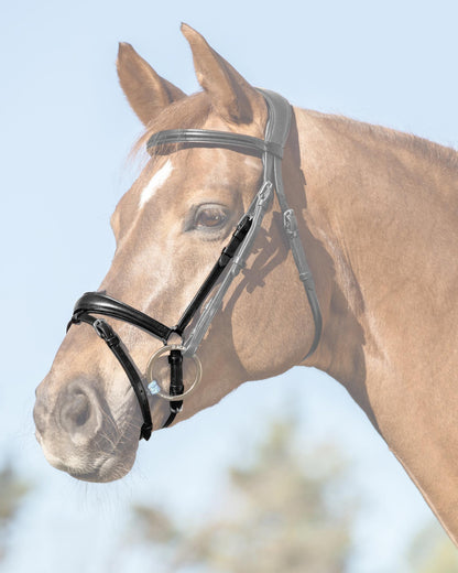 Acavallo Flash Noseband Quick Coupling Black