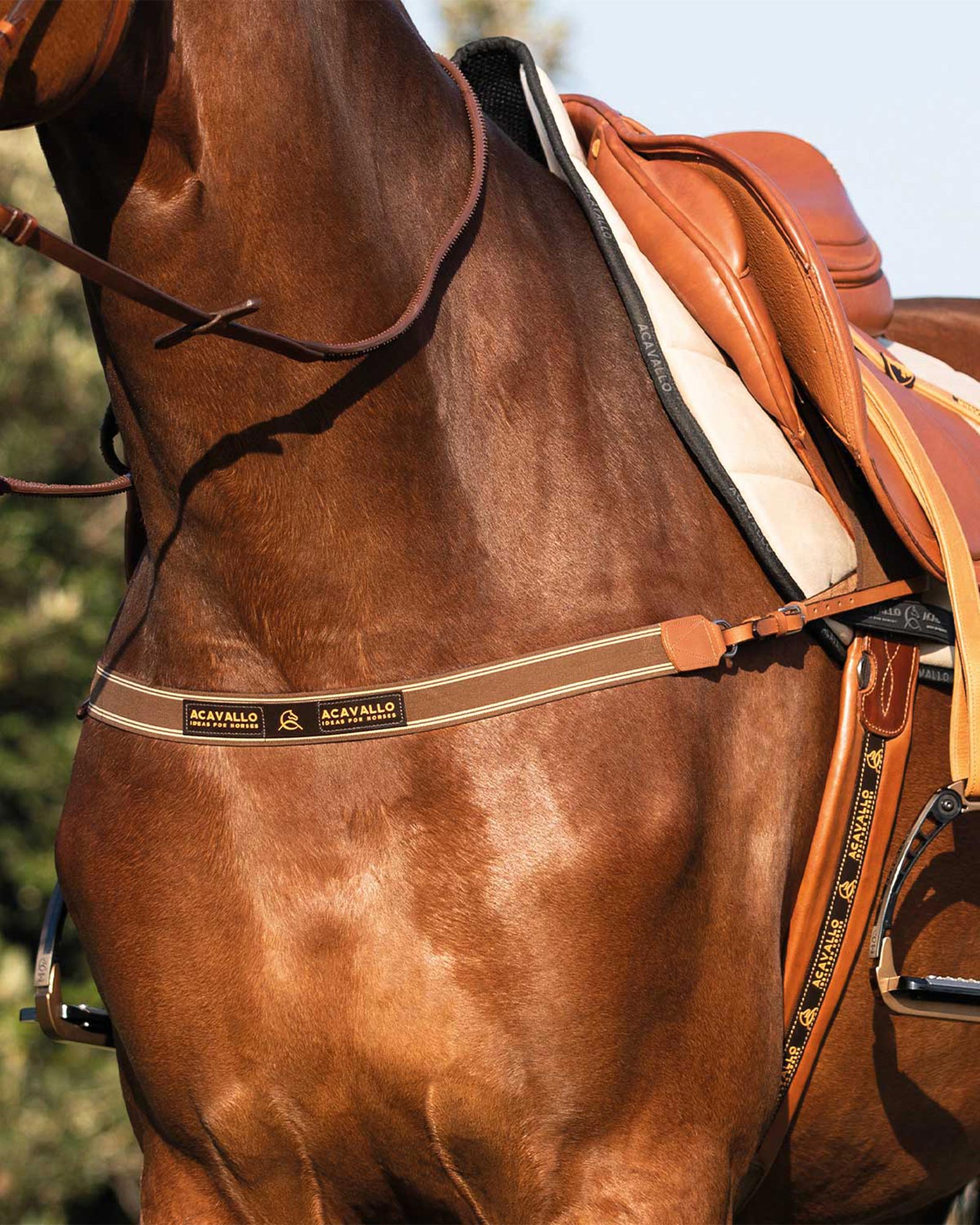 Acavallo Single Breastplate Elastic Band Cognac