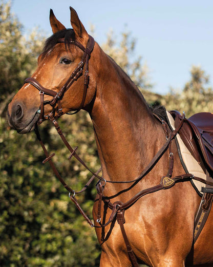 Acavallo Five-Point Breastplate Calfskin Dark Brown