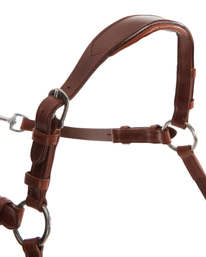 Acavallo Five-Point Breastplate Calfskin Cognac