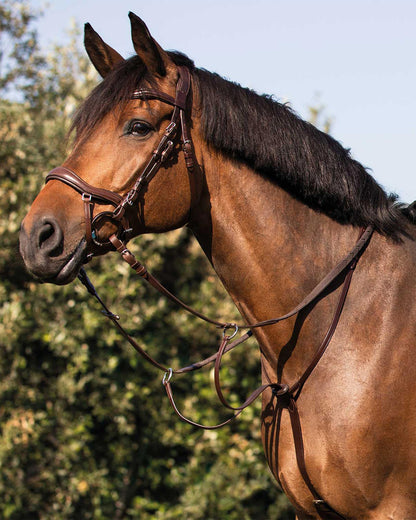 Acavallo Collier Martingale Calfskin Dark Brown