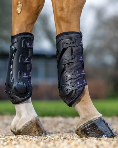 Horse Leg Protection: Lemieux Ultra Mesh Snug Boots Hind Black - Equine Legwear