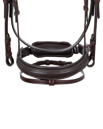 Acavallo Primavera Bridle Calfskin Dark Brown