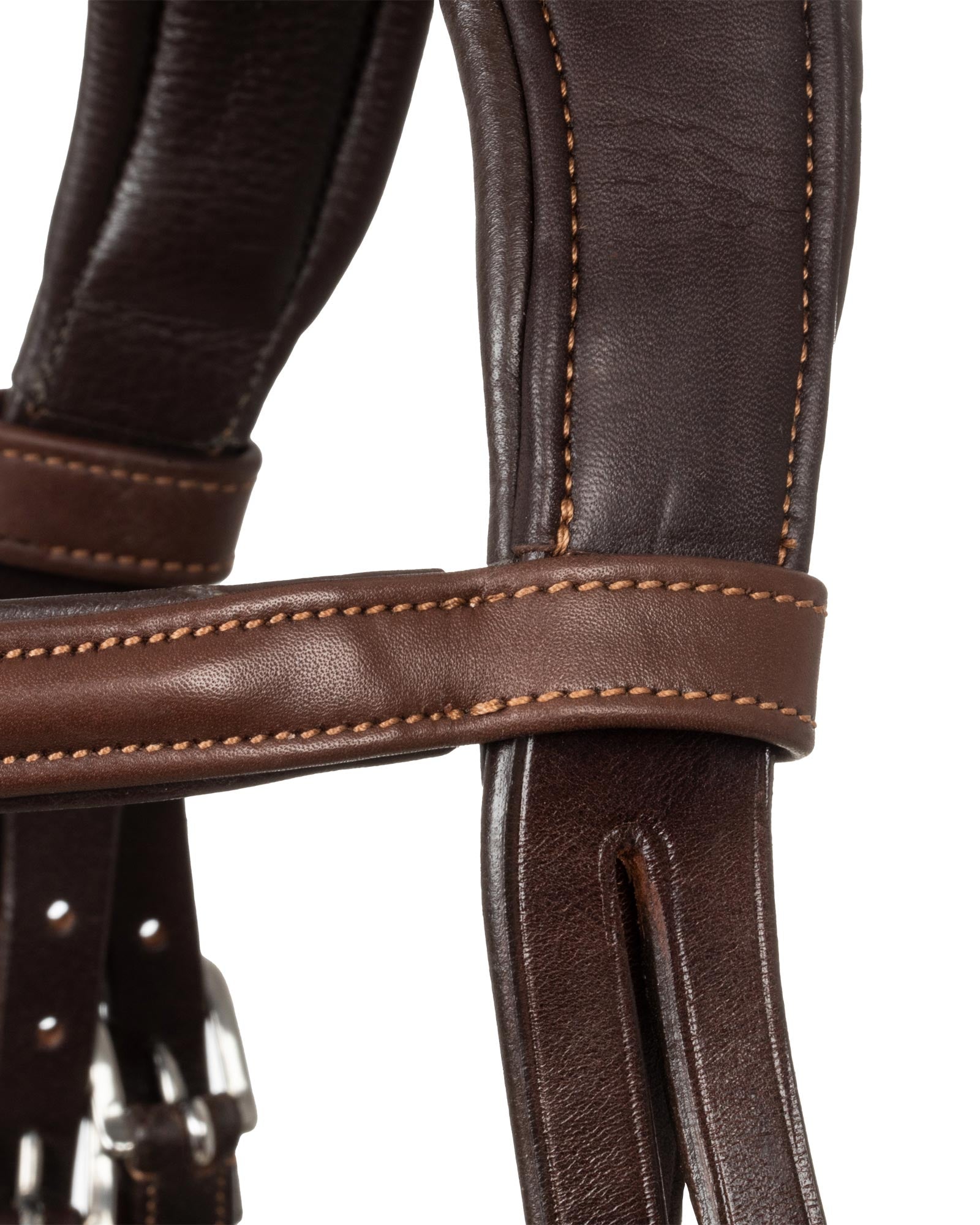 Acavallo Guernica Calfskin Bridle Dark Brown