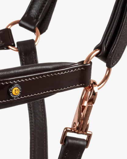 Equestro Polished Leather Halter With Rose Gold Buckles Dark Brown | Equiflair