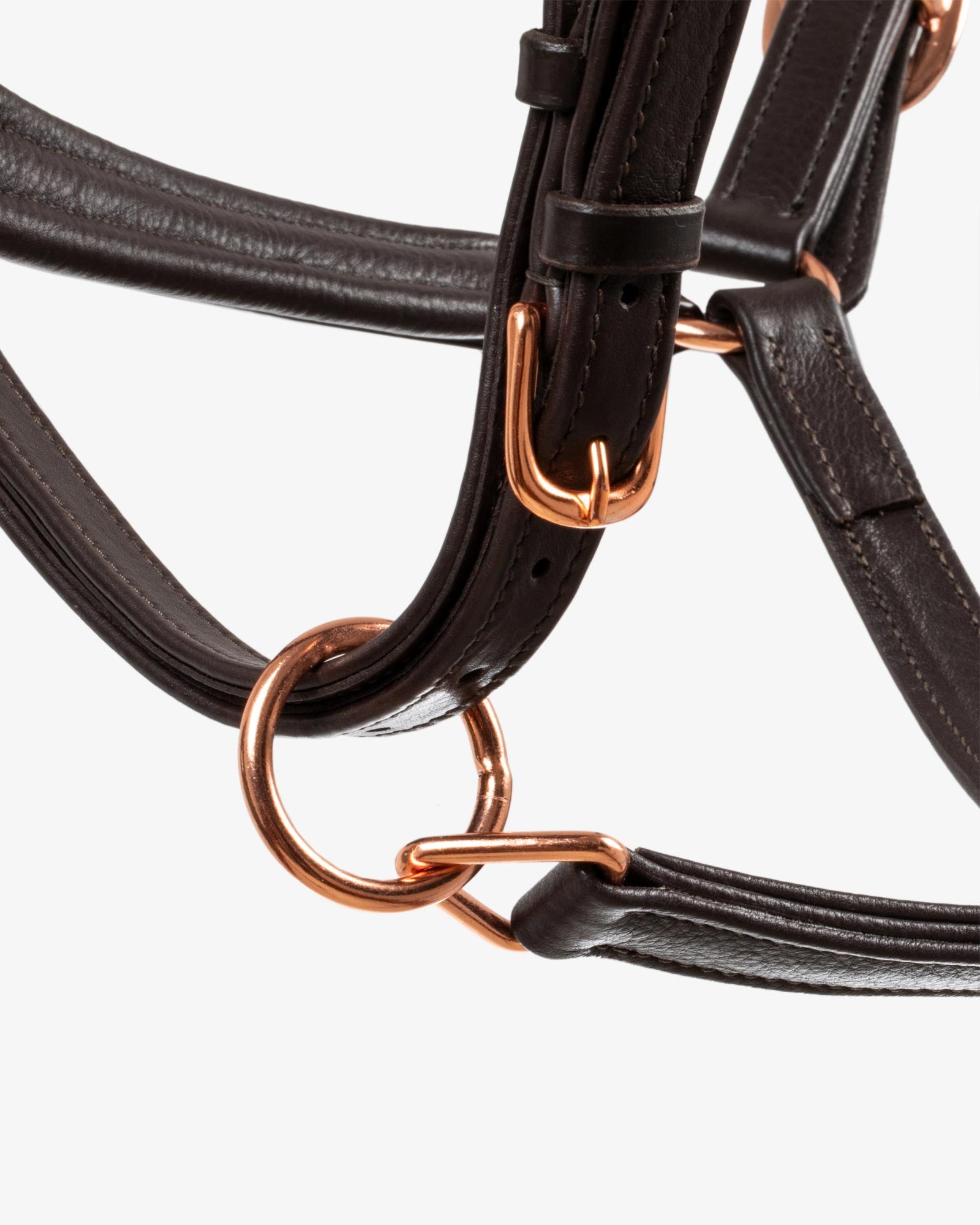 Equestro Polished Leather Halter With Rose Gold Buckles Dark Brown | Equiflair