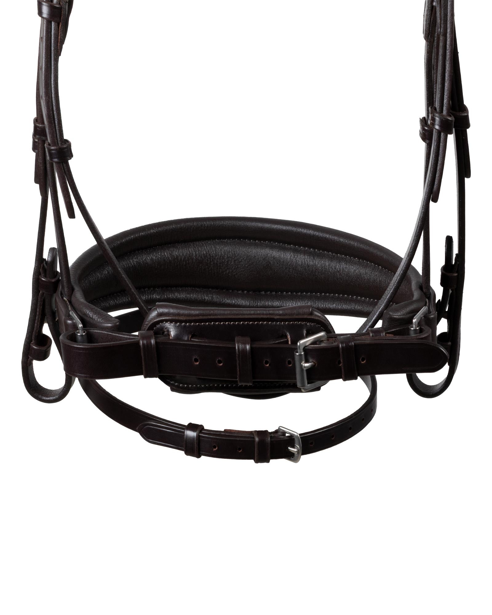 Acavallo Starry Night Calfskin Bridle Dark Brown