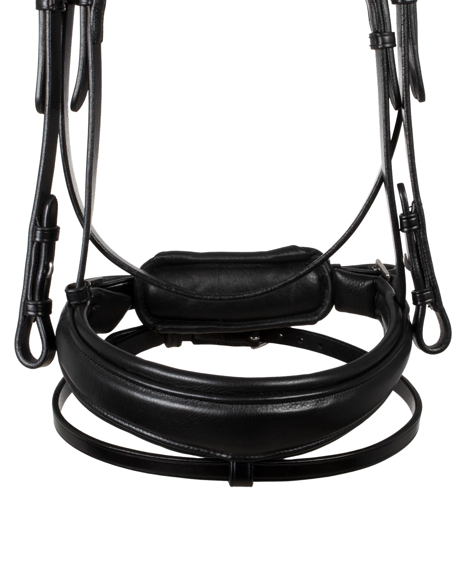 Acavallo Starry Night Calfskin Bridle Black